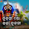 About Tulashi Lo Kala Tulashi Song